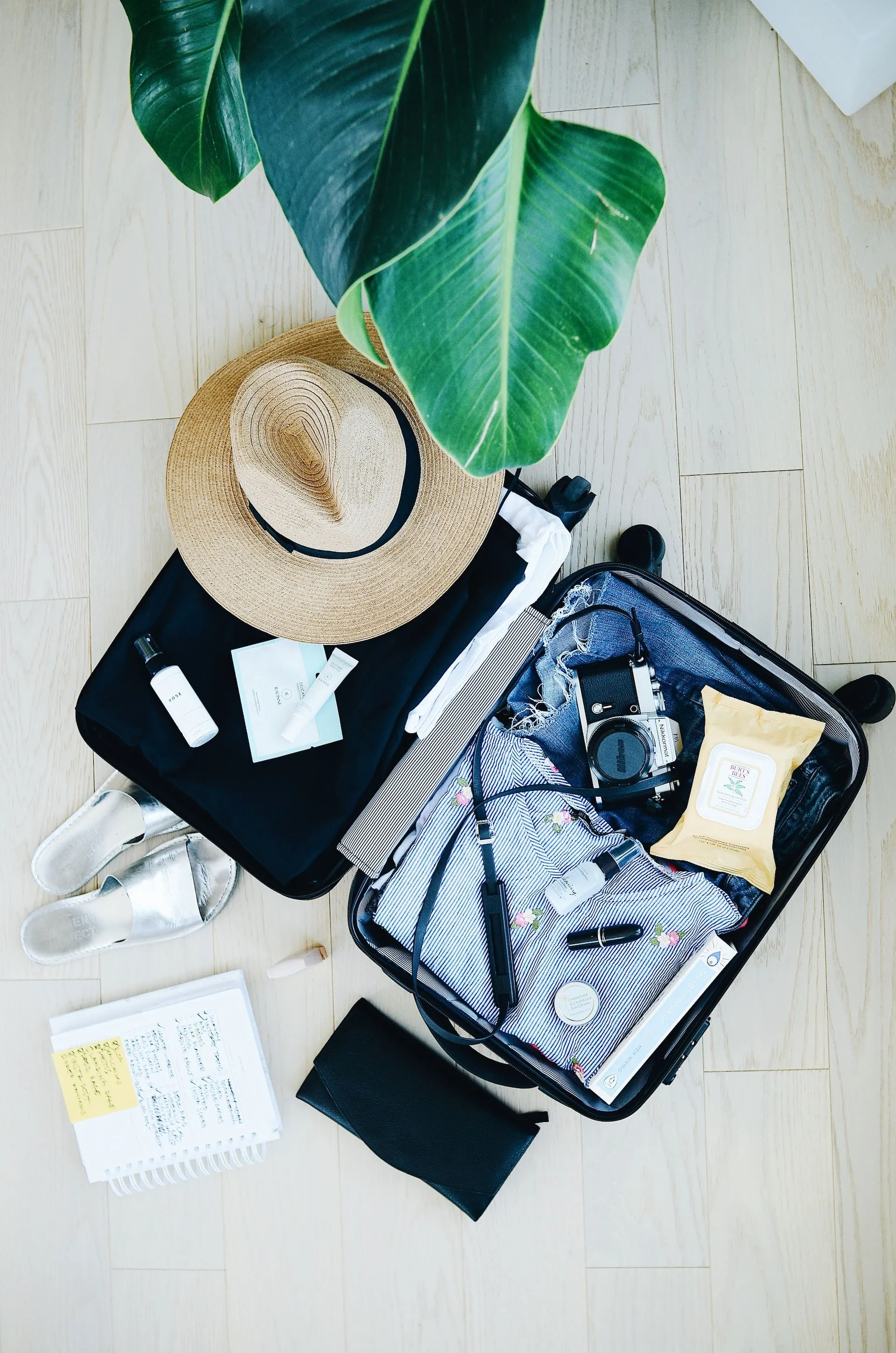 travel-luggage.jpg
